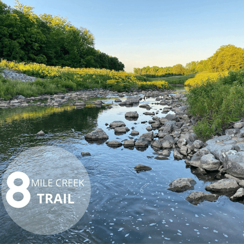 8 Mile Creek in Paragould